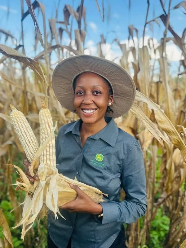 Champ de maïs - Projet agricole financé par PITROLE en RDC